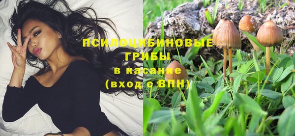 первитин Вяземский