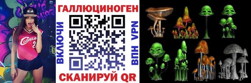 Купить закладки  Шахты  Галлюциногенные грибы Psilocybe 