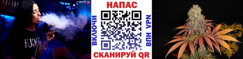 Купить  Шахты  Канабис гибрид 